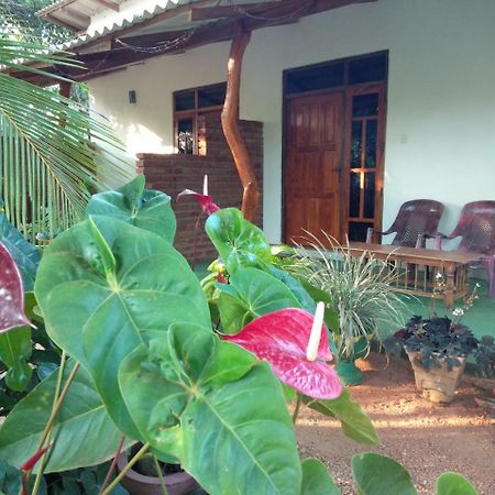 Amaya River Side Homestay สิกิริยา ภายนอก รูปภาพ